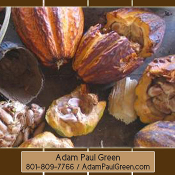 Adam Paul Green