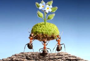 Company Logo For Ravinder'