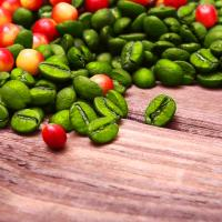 Green Coffee Bean Extract'