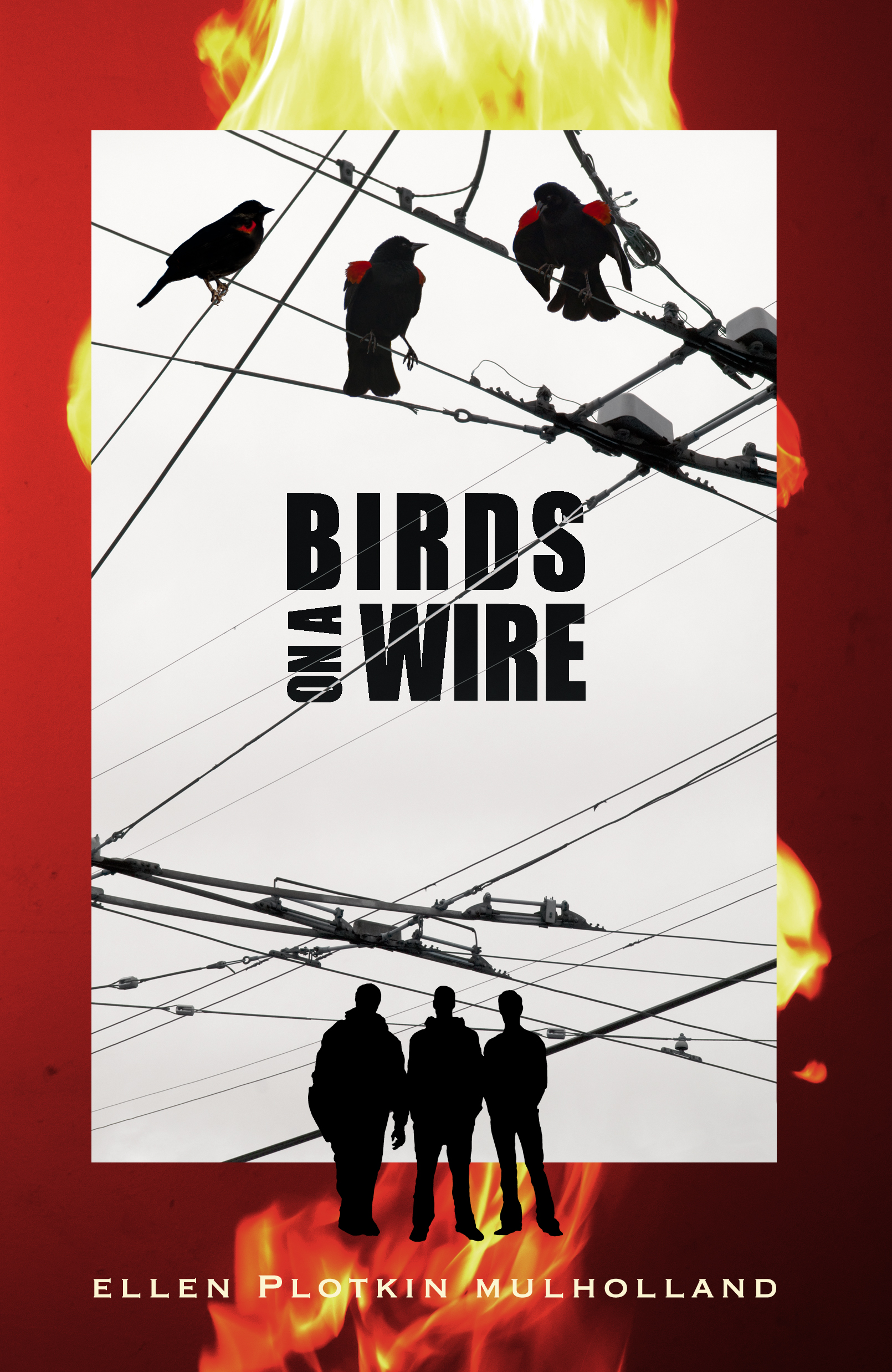 Birds On A Wire