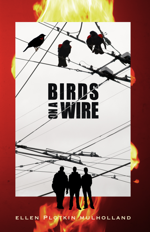 Birds On A Wire'