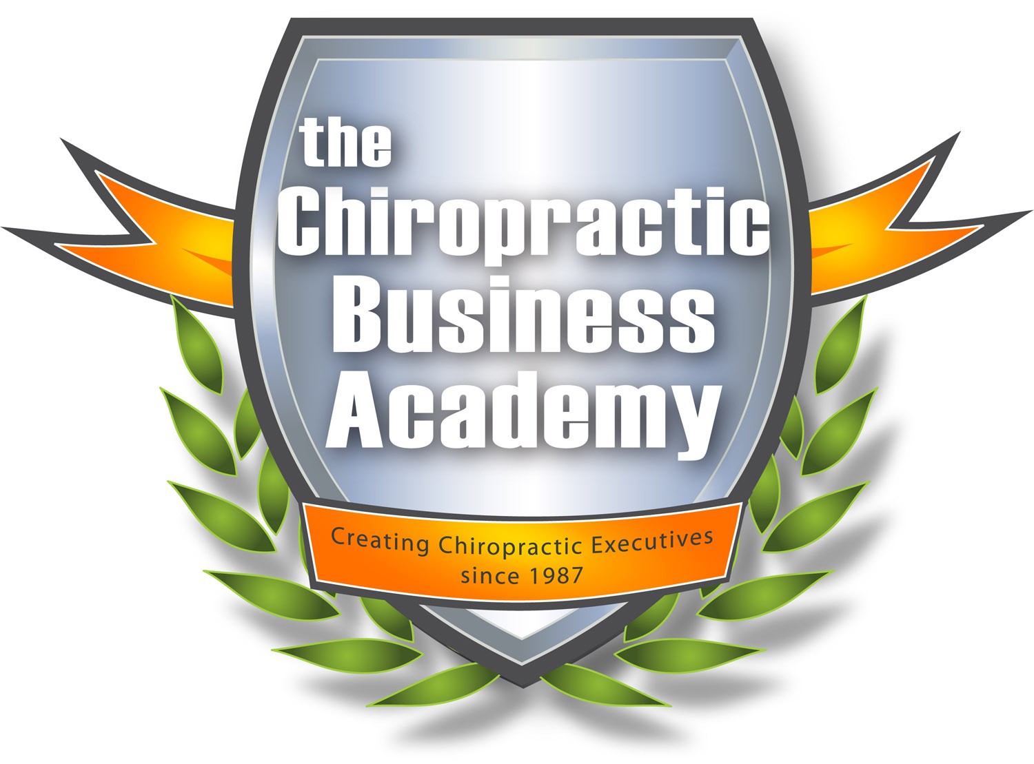 Chiropractic Business Academy
