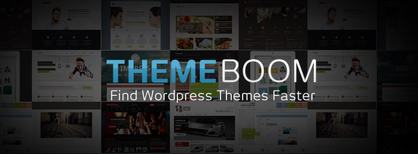 Company Logo themeboom'