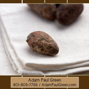 Adam Paul Green Contact Information