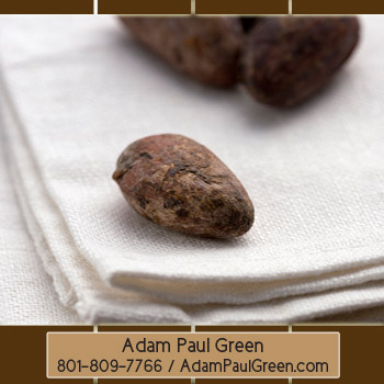 Adam Paul Green Contact Information'
