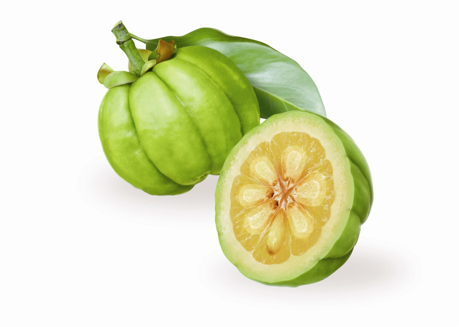 Garcinia Ex