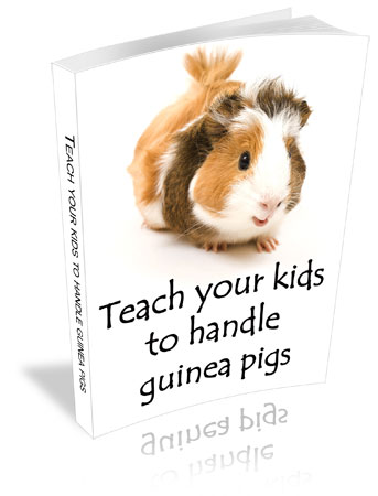 Teach Your Kids to Handle Guinea Pigs