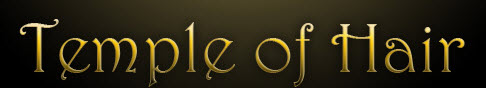 Company Logo For Temple of Hair'