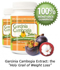 Garcinia Cambogia Select'