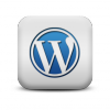 Hire Wordpress Developer - Affordable, Fast and Reliable Ser'