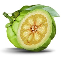 Garcinia Cambogia Fruit'