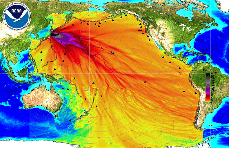 Radioactive Waste Effects on Pacific Fucoidan'