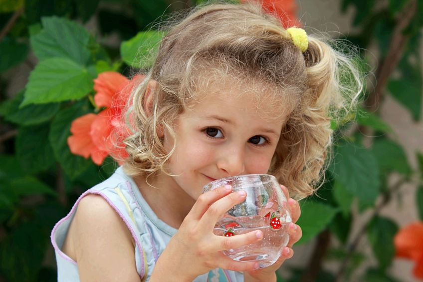 BerkeyWaterFilterInfo.com