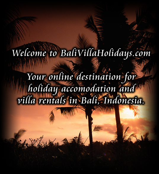 Logo for BaliVillaHolidays.com'