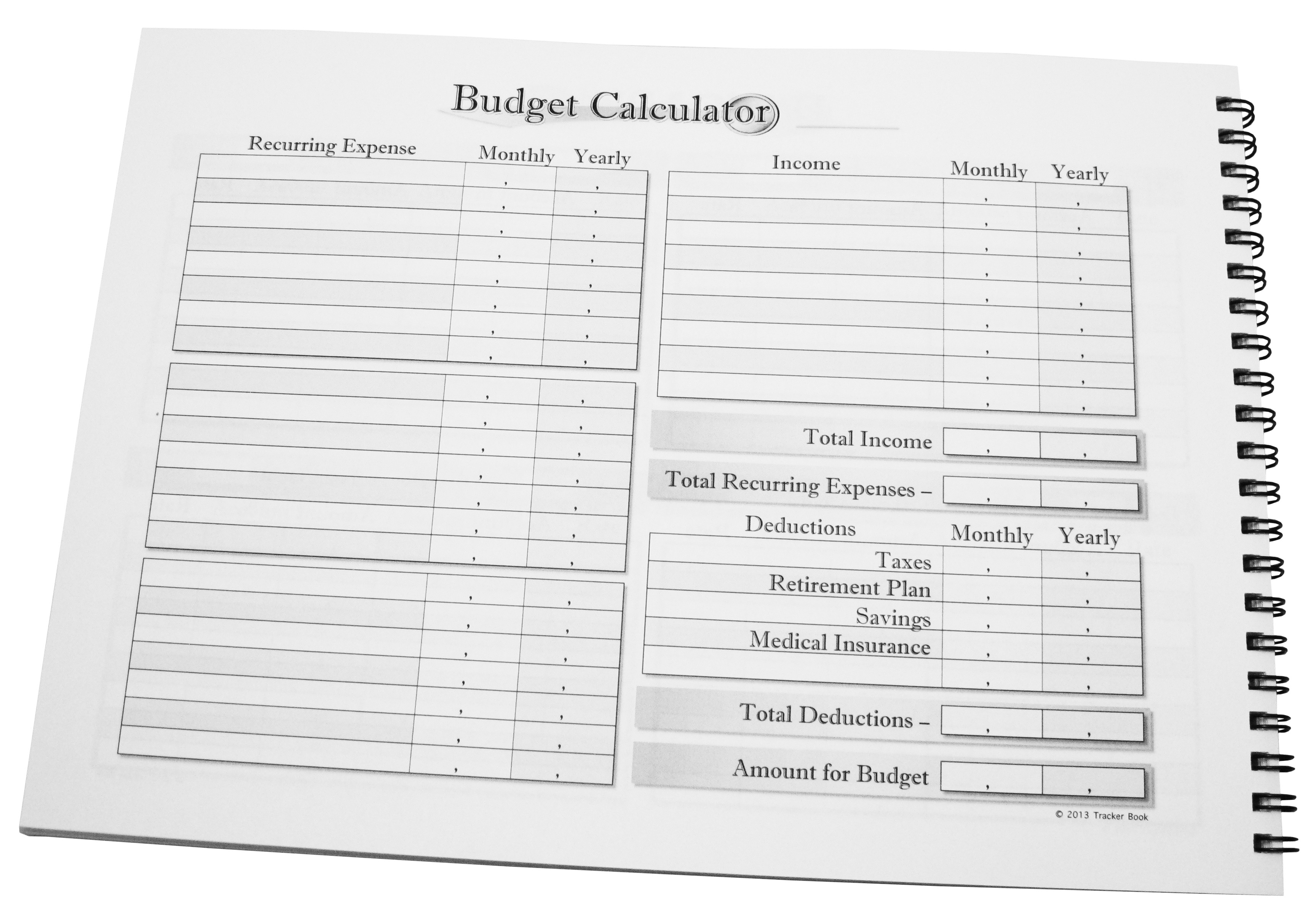 Money Tracker 2-Year Budget &amp; Finance Log budget cal'