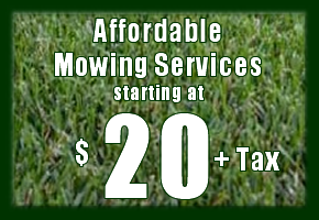 Ryno Lawn Care, LLC'