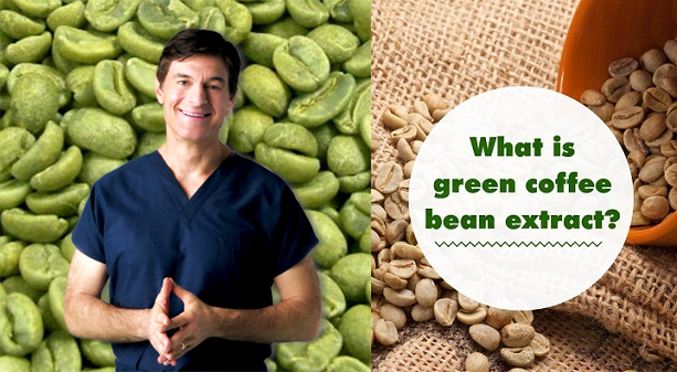 Best Green Coffee Bean Extract Supplier'