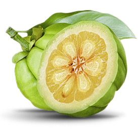 Best Garcinia Cambogia Supplement'