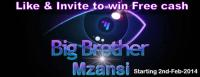 Big Brother Mzansi Fans Logo