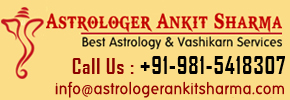 Company Logo For astrologerankit'