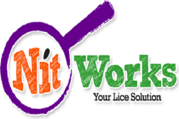 Nitworks Logo