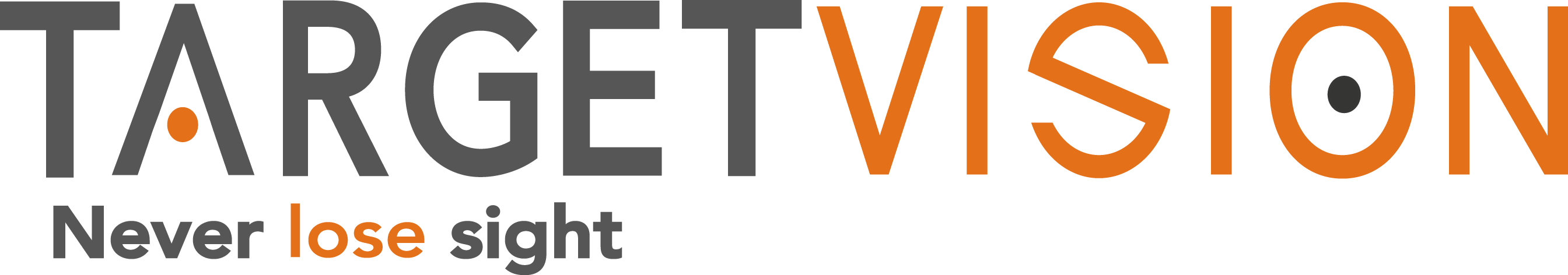 TargetVision Logo