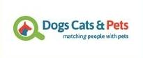 Dogs, Cats &amp;amp; Pets'