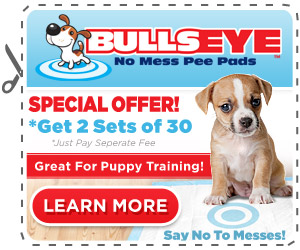 Bullseye Pee Pads'