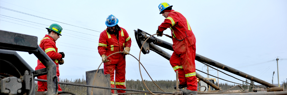 Entrec Dedicated Employees'