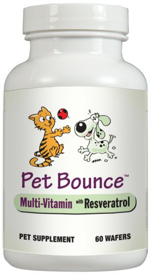 Pet Bounce'