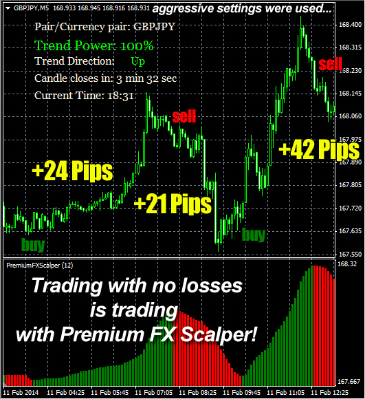 Premium FX Scalper'