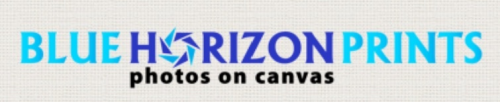 Company Logo For Blue Horizon Prints'