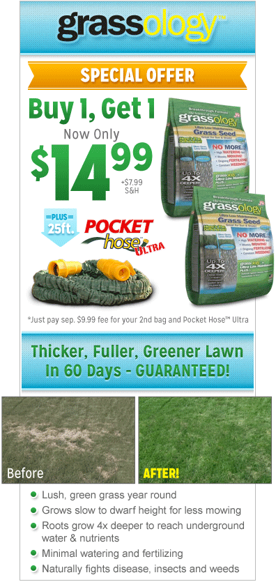 Grassology Grass Seed'