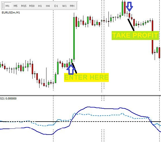 Forex Fast System'