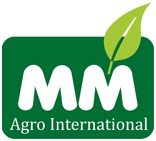MM Argo Internationals Logo