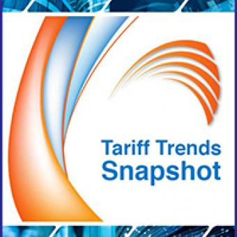 Telecom Pricing Trends in the Middle East and India'