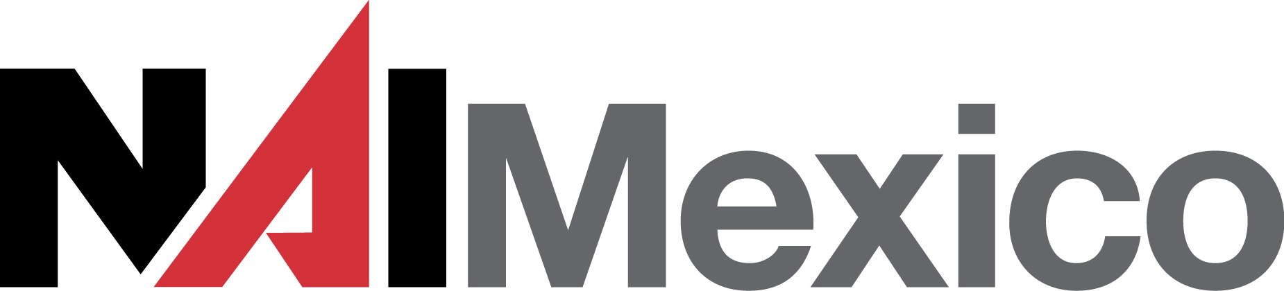 NAI Mexico Logo