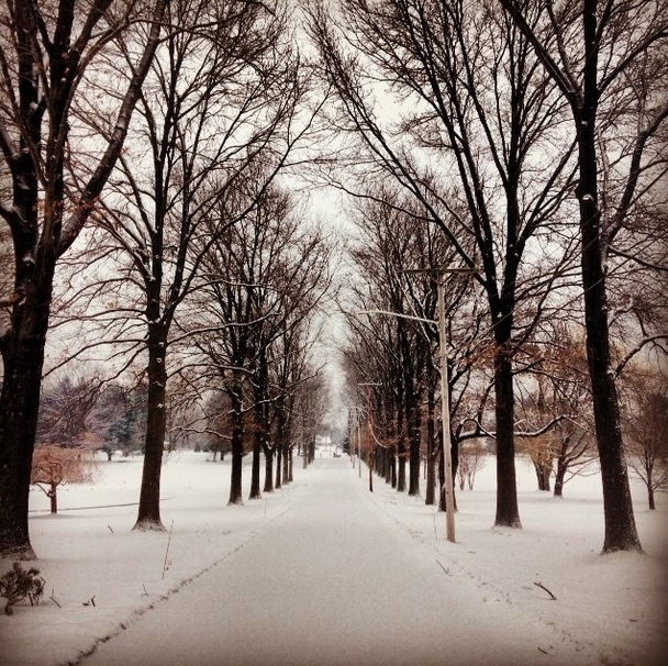 Northampton Valley Country Club snowy tree lined drive.