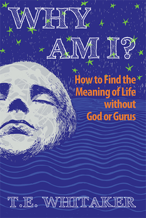 Cover of &amp;quot;Why Am I?&amp;quot;'