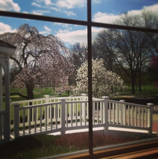 Northampton Valley Country Club Window View!