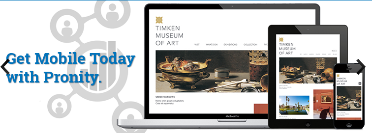 Pronity Online Business Resource