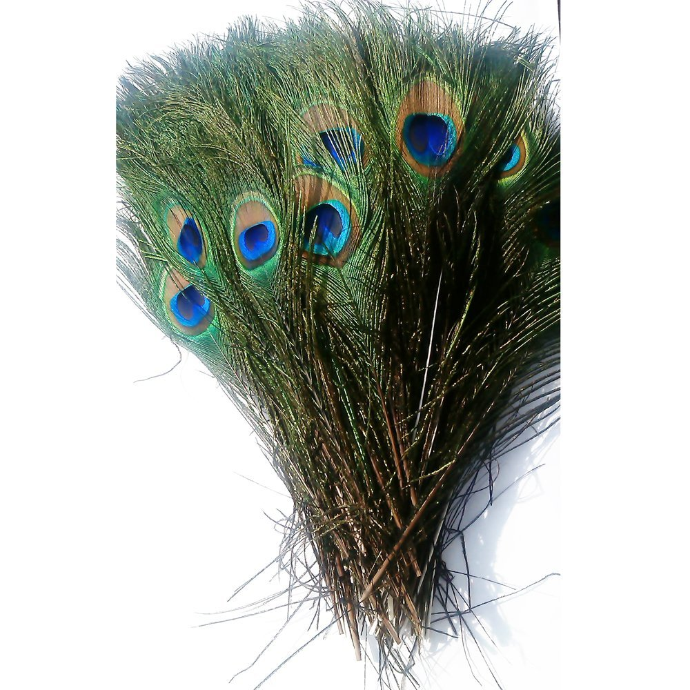 Peacock Feathers