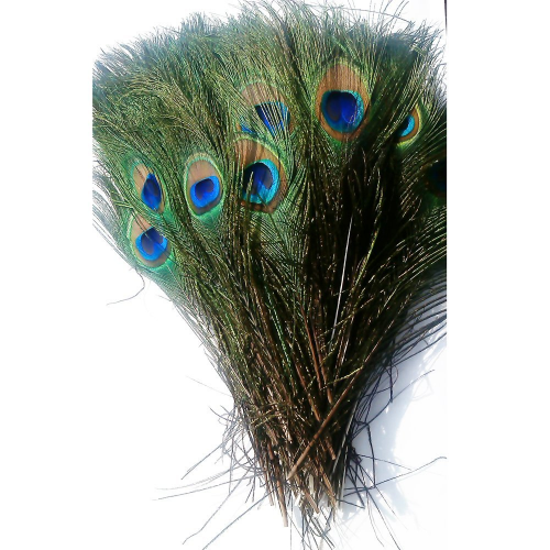 Peacock Feathers'