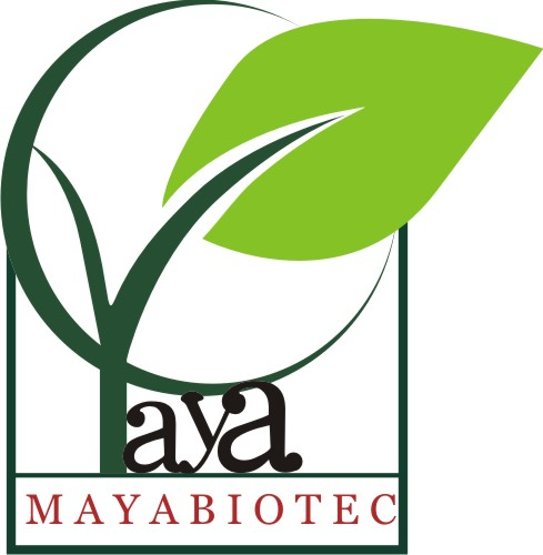 Company Logo For Maya Biotech'