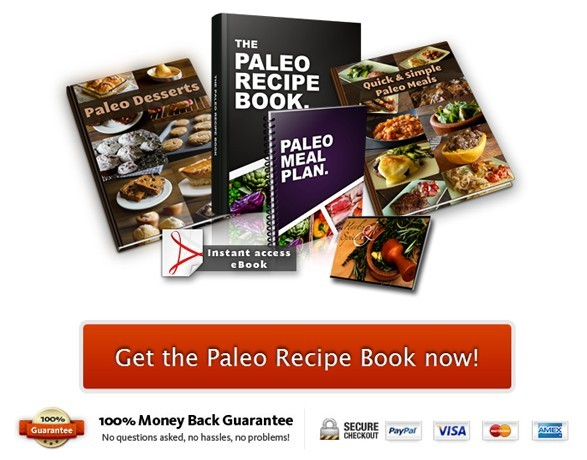 The Paleo Recipe EBook Review: A New Cookbook Created By Pal