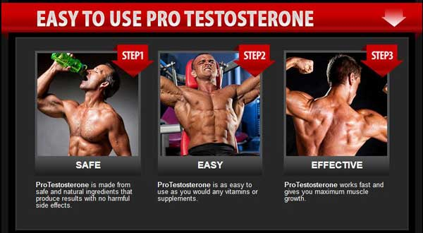 Pro Testosterone'