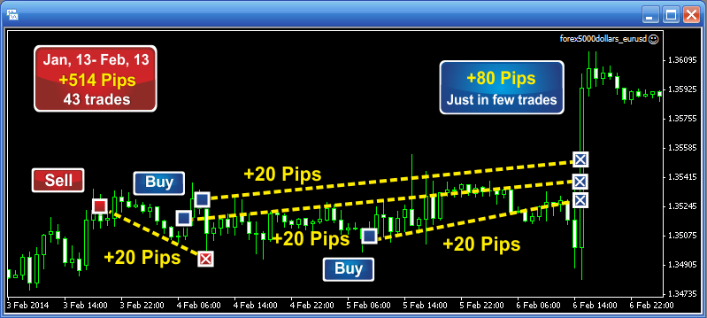 Forex 5000 Dollars Robot'