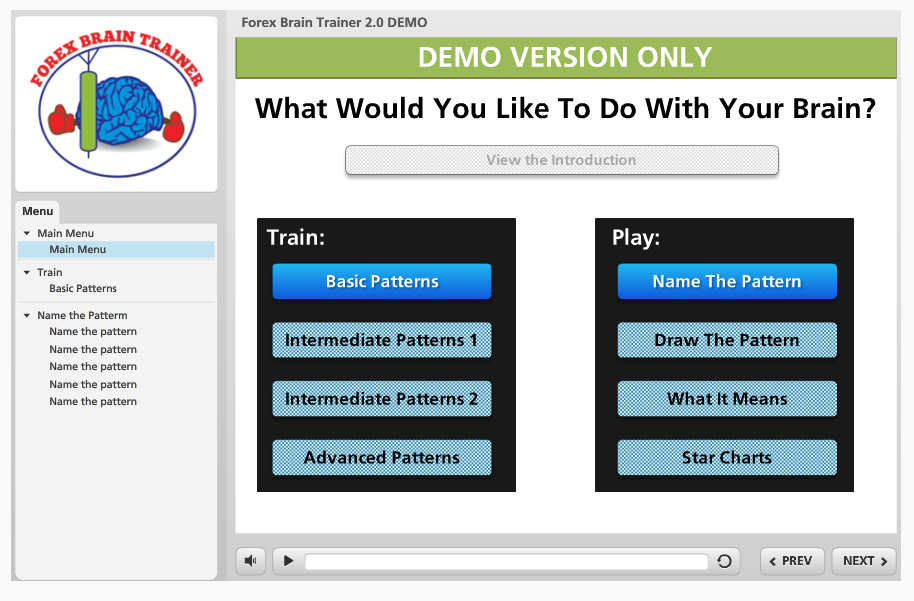 Forex Brain Trainer'