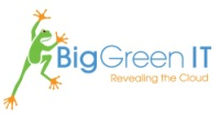 BigGreen IT Logo