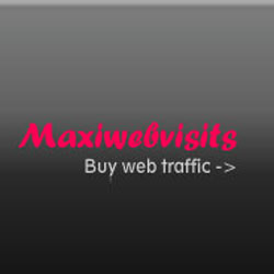 Company Logo For Maxi Visits'